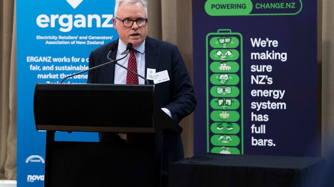 ERGANZ says New Zealand should double the amount of renewable energy that makes up total energy use